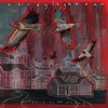 Hands In The Sky (Big Shot) - Straylight Run