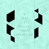 Masleno (Teenage Mutants Remix) - Tom B.