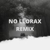 No Llorax (Remix) - DJ Ale