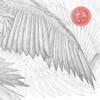 Function (Explicit) - The Bug&Manga