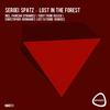 Lost in the Forest - Sergei Spatz