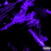 I'm Sorry (Explicit) - Cashout Benji