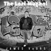 The Last Mughal - James VoOrs
