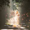 逆光 - 屿星&云柒
