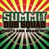 It's Our Home(feat. Brian David & Karna) - Summit Dub Squad&Brian David&Karna