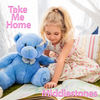 Take Me Home - Middlestones