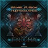 Enigma - Spinal Fusion&Hypnocoustics