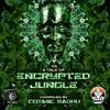 Space Pirate & Circus Freq- Gangstaliens - Cosmic Sadhu&VISHAL SRINIVASAN&Space Pirate&Circus Freq