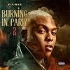 Flubber (Explicit) - Pariz