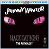 Mean Town Blues - Johnny Winter