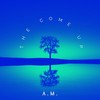 Lost My Mind (Explicit) - A.M.&Jaylow