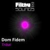 Tribal (Original Mix) - Dom Fidem