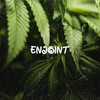 Enjoint (Explicit) - Nooz