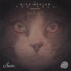 The Fall (Original Mix) - Nico Stojan