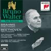 I. Allegro - Bruno Walter&Leonard Rose&Ludwig van Beethoven&Walter Hendl&New York Philharmonic&John Corigliano