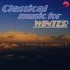 Kreisler-Liebesfreud - Winter Flowers&Kreisler