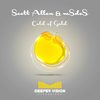 Cold of Gold (Original Mix) - Scott Allen&mSdoS