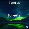 Boréale - Turtle