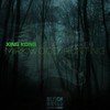 Mirkwood Hunting (Original Mix) - XING KONG