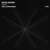 Drive (Eyal Cohen Remix) - Royal Sapien&Eyal Cohen