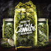 Too Much Cannabis (Explicit) - BugZbugs 