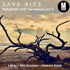 C'mon & Take Me (Will Konitzer Remix) - Dave Rice&Will Konitzer