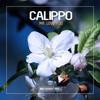 Mr. Love You (Original Mix) - Calippo