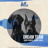 Dream Team - Kamer&Danny Kolk