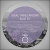 Kurt (Original Mix) - Usual Things Around