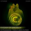Feels Likes Flying - Ocean of Emotion