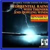 Binaural Nature Sounds for Sleep: Torrential Rains with Thunder and Howling Winds(90 Minutes: Special Edition) - Amadeus