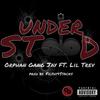 Understood(feat. Lil Trev) (Explicit) - Orphan Gang Jay&Lil Trev