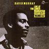 Nevada's Theme (Volumes 1 & 2) - David Murray&Lester Bowie&Fred Hopkins&Phillip Wilson