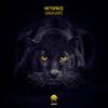 Giaguaro (IFIR Remix) - Heyspace