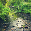 Hawkridge Brook, Chittlehampton, Devon, Pt. 2 - Soundwaves