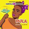 PULA(feat. crooger) - Karville&Crooger