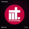Destiny (Extended Mix) - Trimtone