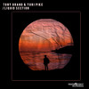 Liquid Section (Original Mix) - Tony Grand&Yuri Pike