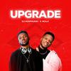 Upgrade - DJ HORPHURAY&Nolly