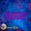 Cosmic Chaos (Ambient Chill Out) (Original Mix) - Aniruddha