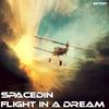 Flight in a Dream - SpaceDin
