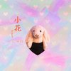 小花 (Demo) - 马梓皓