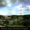 Voyage - Dazed ape Salvation Project
