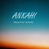 Ankahi (Instrumental) - DJ ROBIN