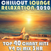 Picking Up the Beginning From the End (Chill Out Lounge Relaxation 2020, Vol. 3 Dj Mixed) - Evlov