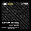 Electricity (David Bau Remix) - Silvina Romero&David Bau