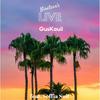 Live - Guskauil&Soffia Suit