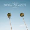 Arriba Las Manos - Splashfunk