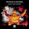 Push The System (Original Mix) - PetDuo&Schiere