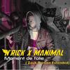 Moment de folie (Zouk Version Extended) - N'rick&Manimal